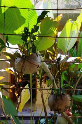 Pondok Mangga ماتارام المظهر الخارجي الصورة